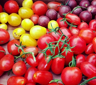 manipulador-alimentos-sector hortofrutícola