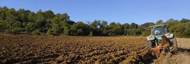 manipulador-de-alimentos-frutas-verduras manipulador-de-alimentos-frutas-verduras