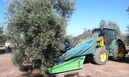 Carnet Manipulador de Alimentos Jaen