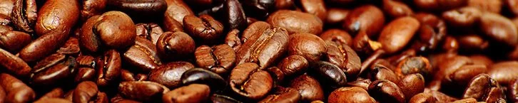 Alimento liofilizado