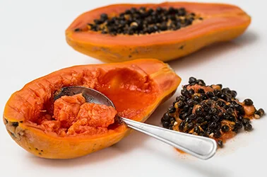 cultivo de papaya en malaga