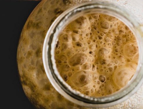 Cómo hacer Masa Madre en casa. Guía paso a paso