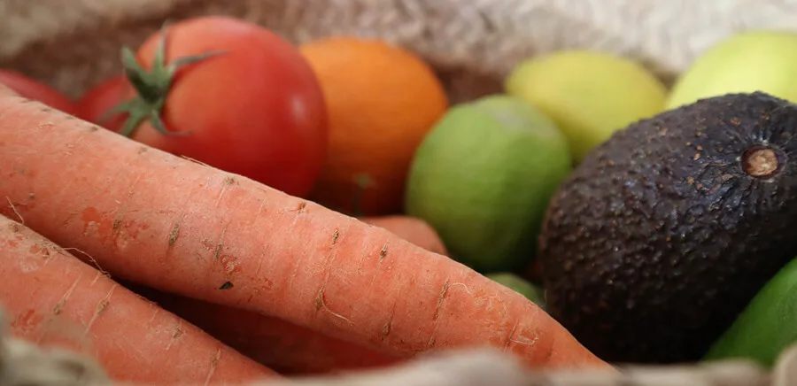 manipulador de alimentos sostenibilidad manipulador de alimentos sostenibilidad